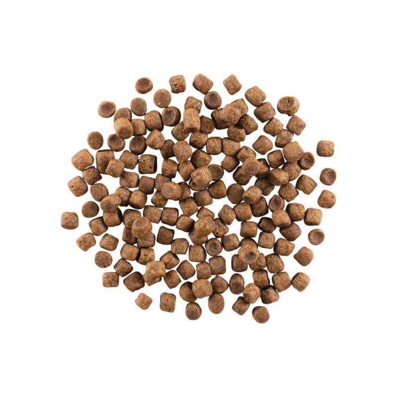 Grain Free Chicken Turkey Pet Food Q935