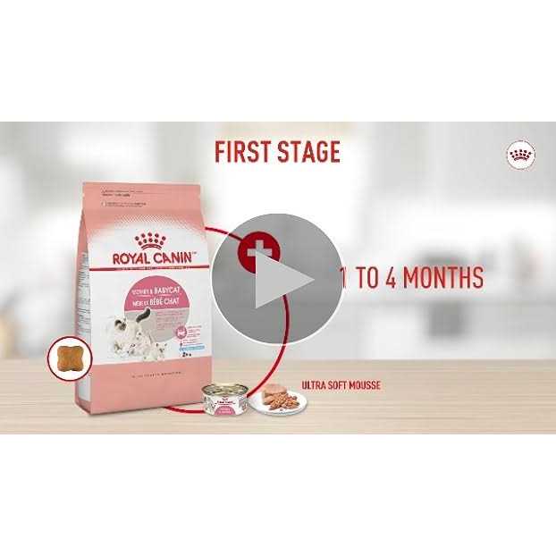 Mother & Babycat Ultra Soft Mousse Z349