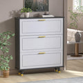 Black and White 3 Drawer Wood Shoe Storage Cabinet X420