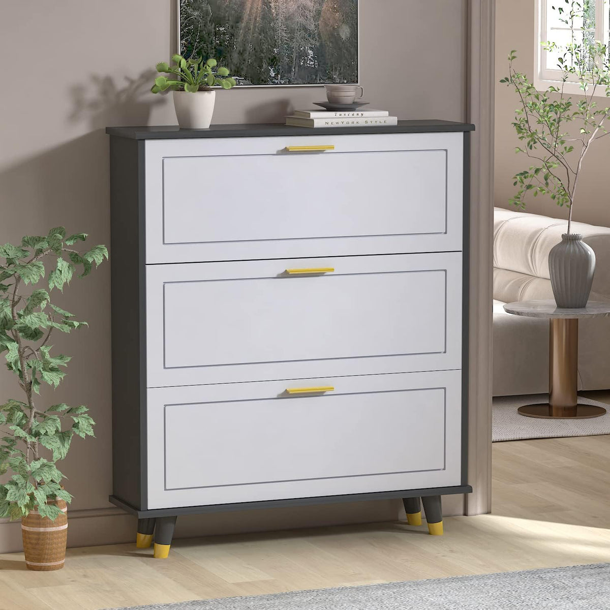 Black and White 3 Drawer Wood Shoe Storage Cabinet X420