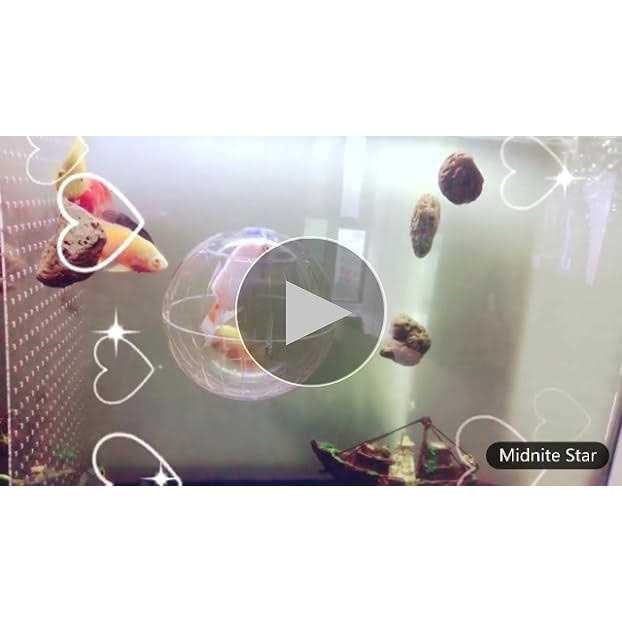 Hamster Exercise Ball Transparent V77268