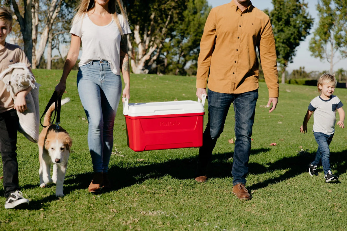 48 QT Red Ice Chest Cooler T60063