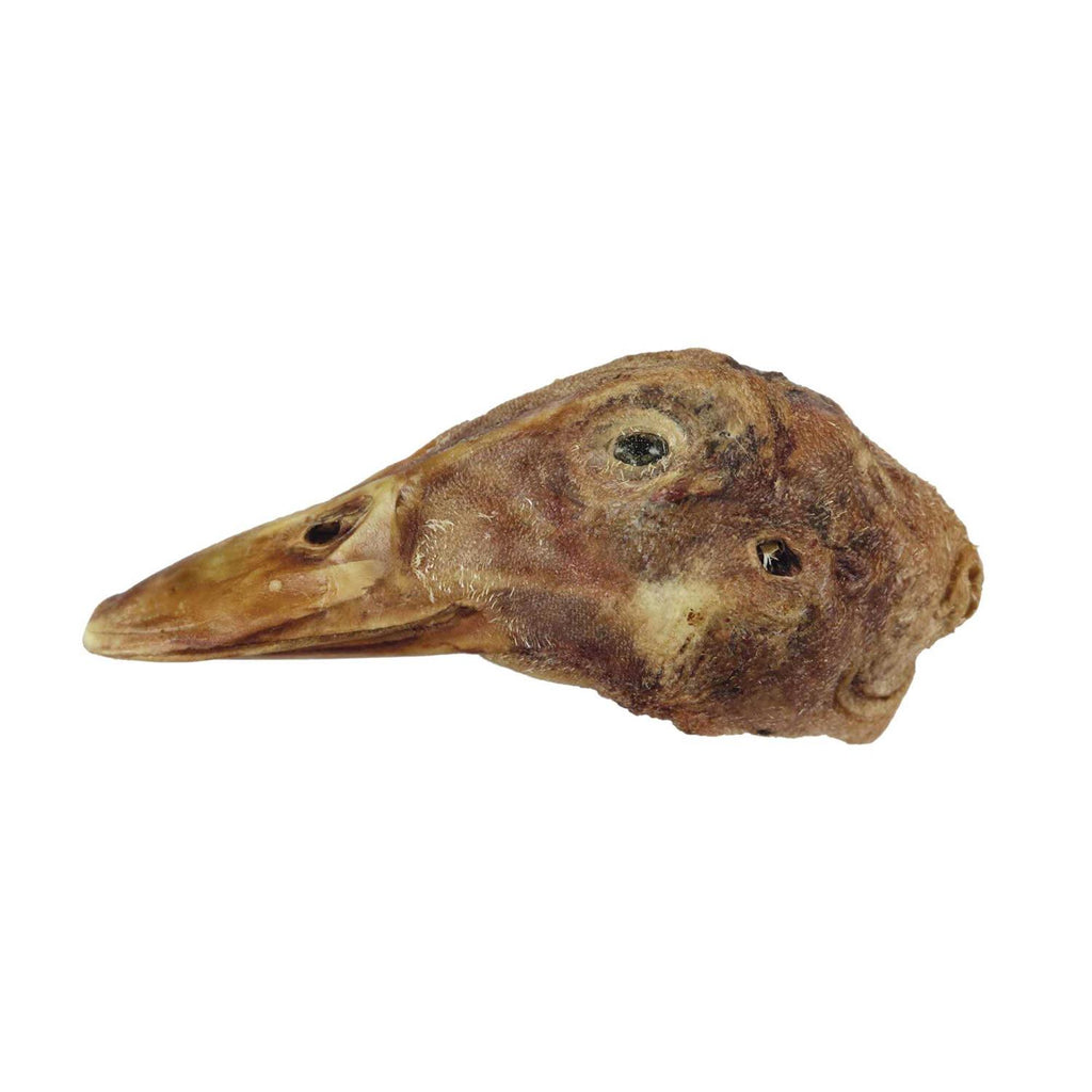 Freeze-Dried Raw Duck Head Pet Treat Y32082