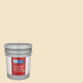 Eggshell Interior Paint (5-Gallon) V600