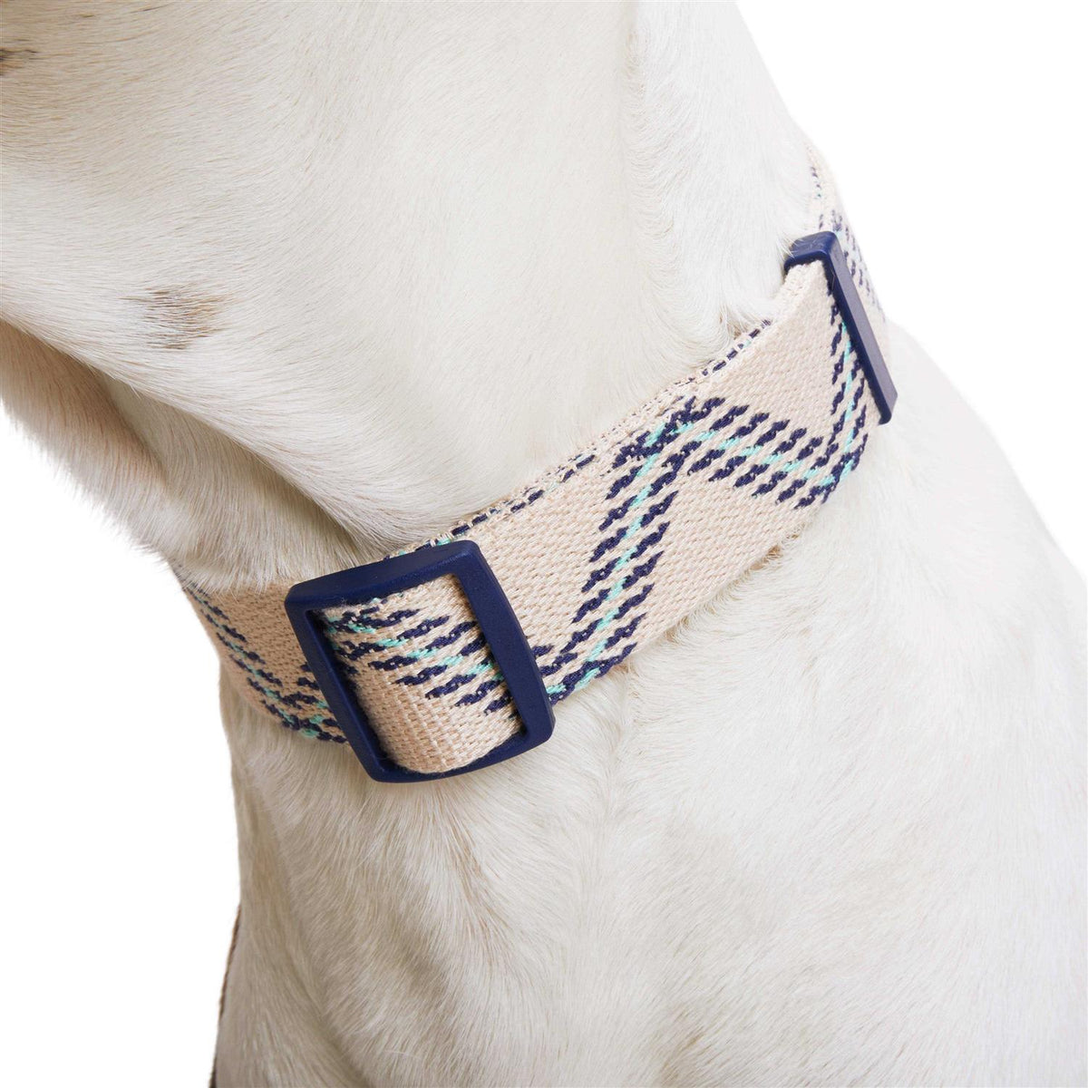 Zig Zag Dog Collar J57034