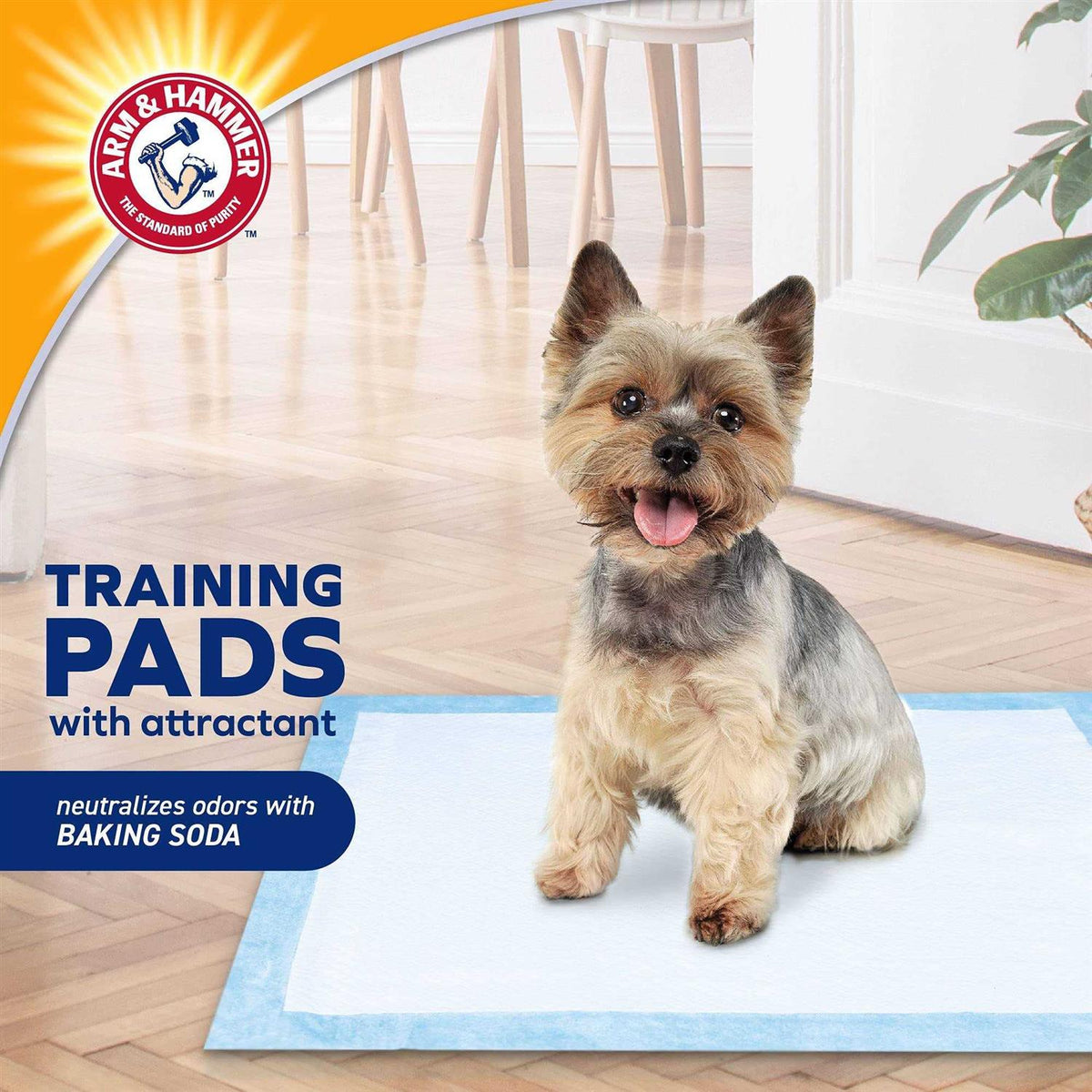 Dog Training Pads with Attractant U70972