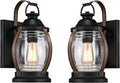 Barnwood Finish Clear Glass Outdoor Wall Fixture 2 Pack H6002