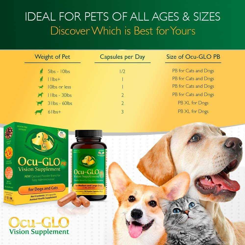 Vision Supplement for Dogs S58501