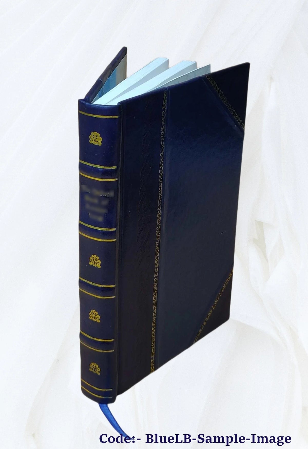 Leather Bound Book J167594