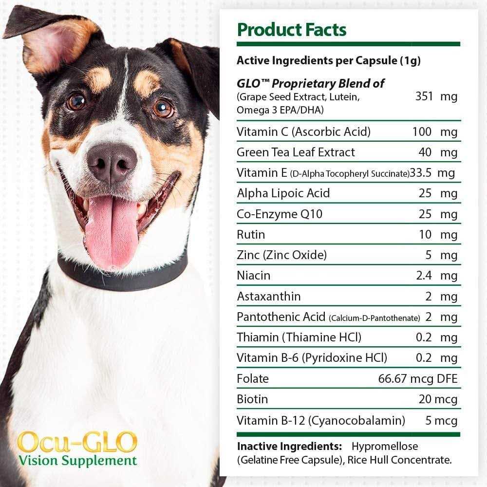 Vision Supplement for Dogs S58501
