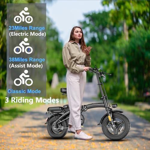 Peak 500W 23MPH Folding Electric Bike 48V 12AH T233
