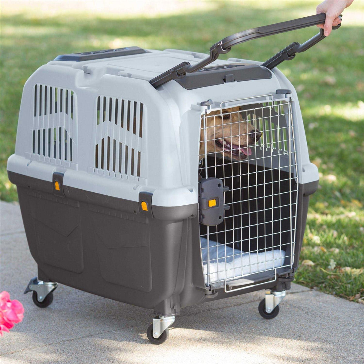 Plastic Travel Carrier W23344