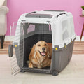 Plastic Travel Carrier W23344