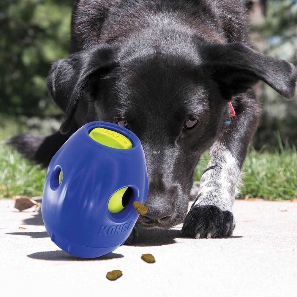 Dog Toy N533620