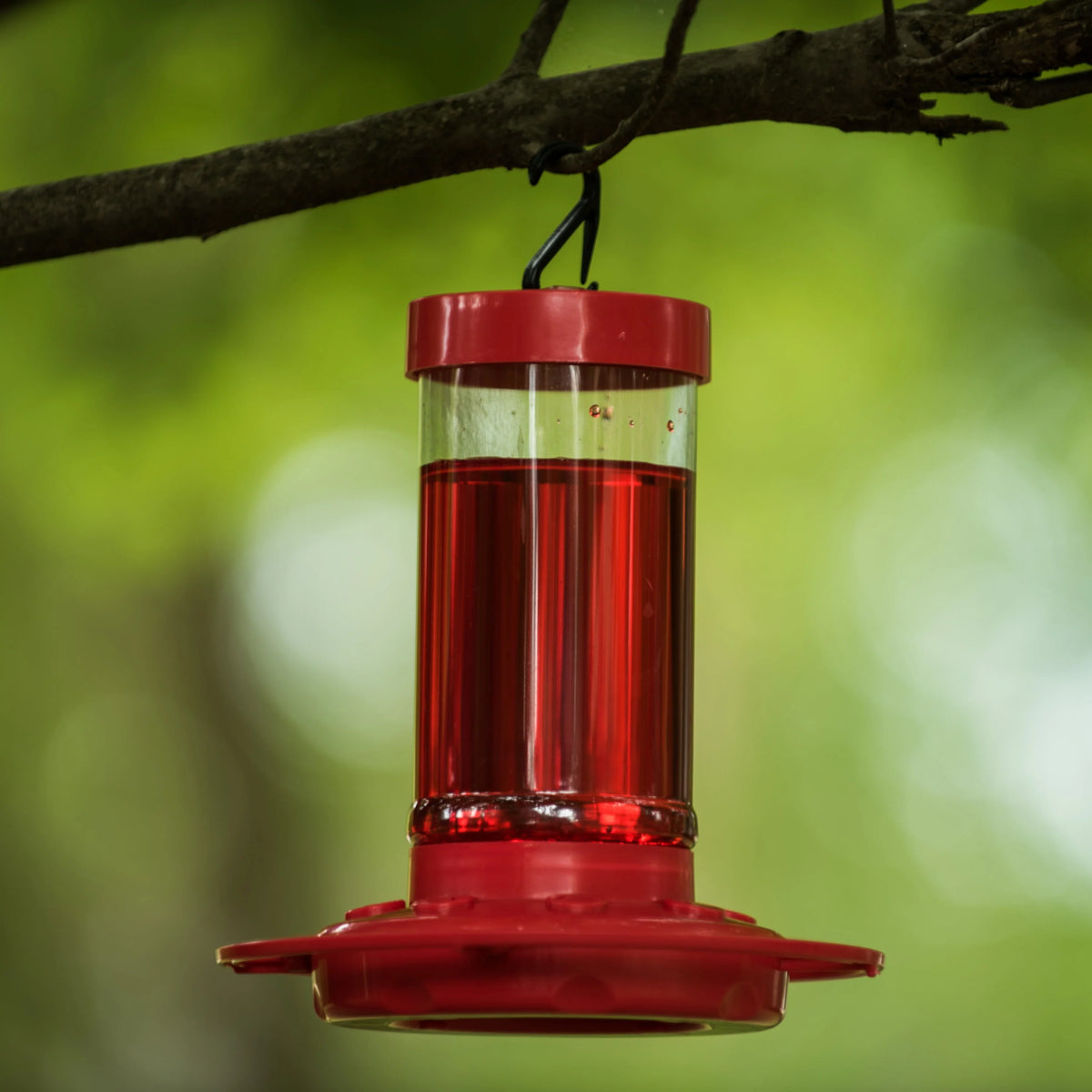 Hummingbird Feeder 16 oz Red Plastic B10805