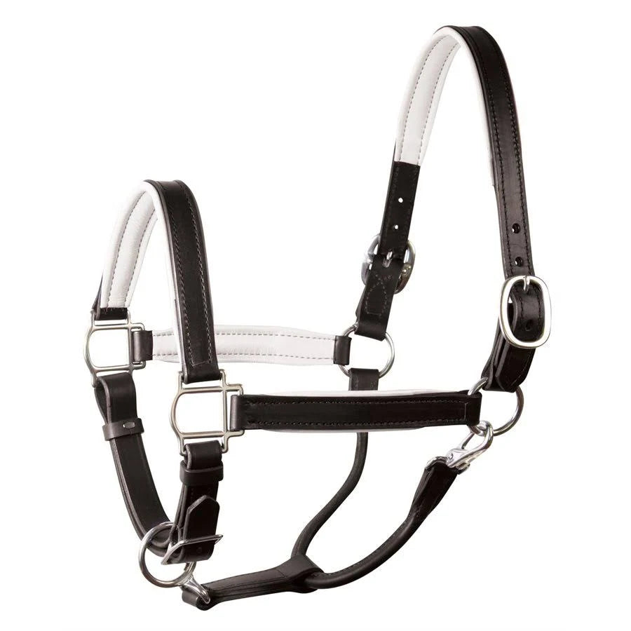 Soft Padded Leather Halter O8699