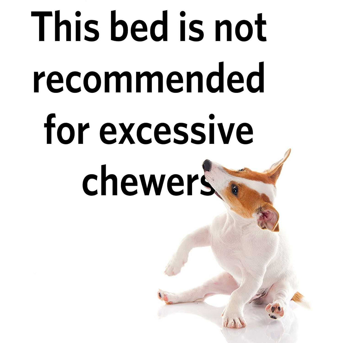 Pet Bed B428356