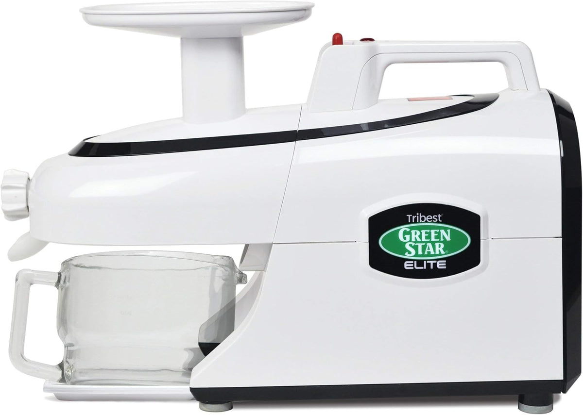 Cold Press Masticating Slow Juicer with Twin Gears N90468
