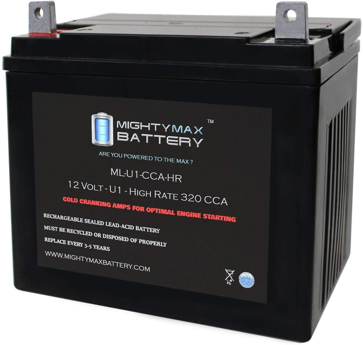 12V 320CCA Battery H98665