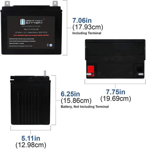 12V 320CCA Battery H98665