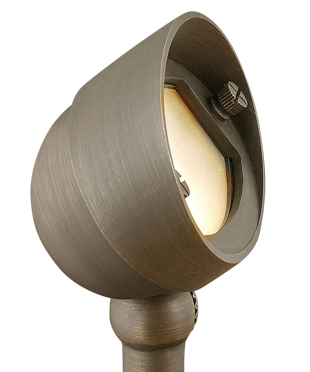 Matte Bronze Landscape Spot Light V23582