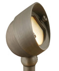 Matte Bronze Landscape Spot Light V23582