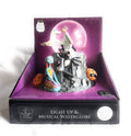 Light Up Musical Waterglobe P96848