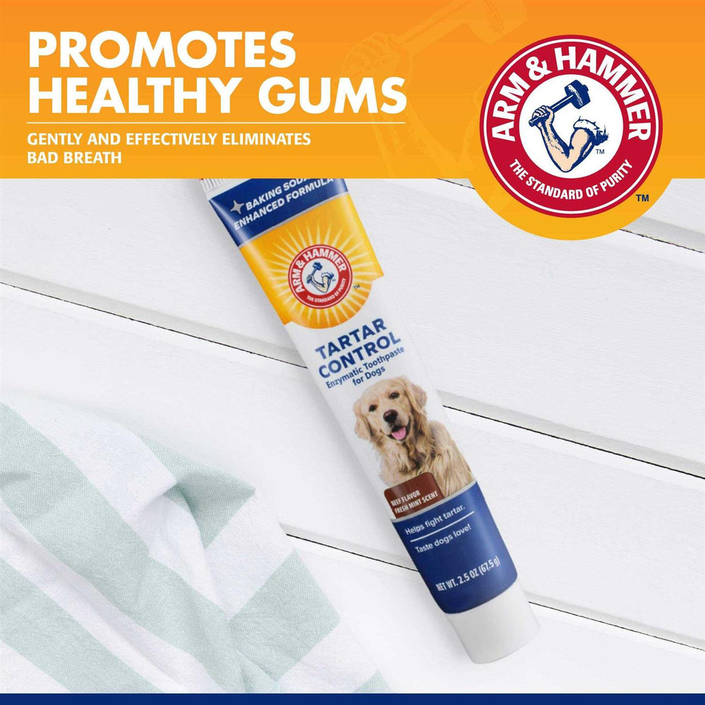 Tartar Control Enzymatic Toothpaste for Dogs B101