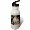 21 oz Sports Water Bottle Y58129