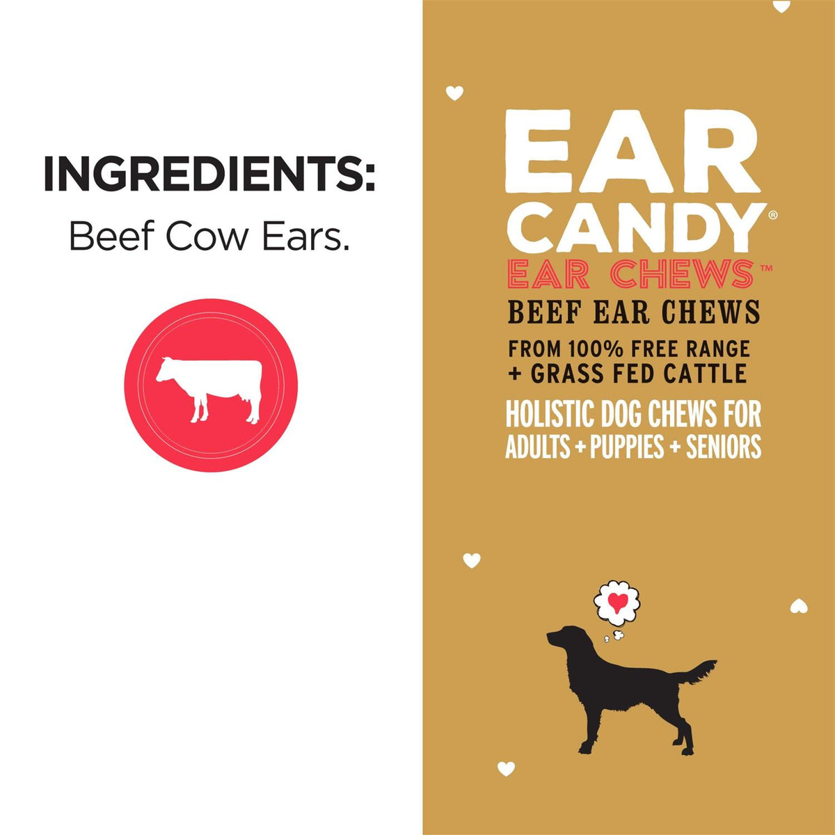 Dog Chews H972831