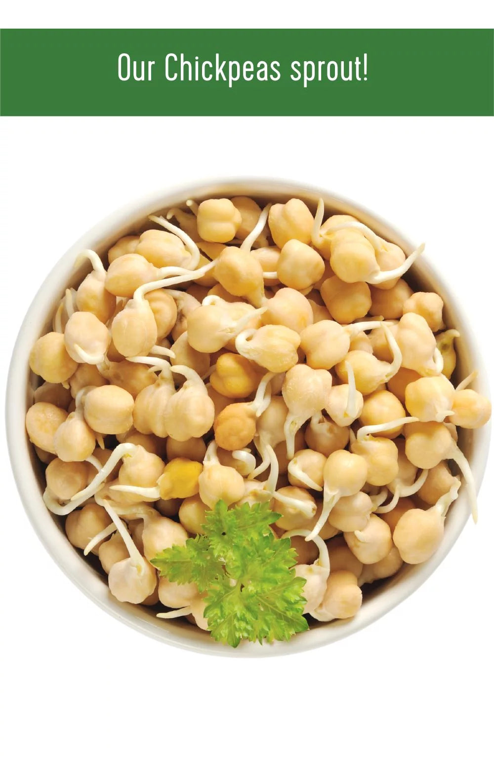 Chickpeas 25 lbs Garbanzo Beans A90773