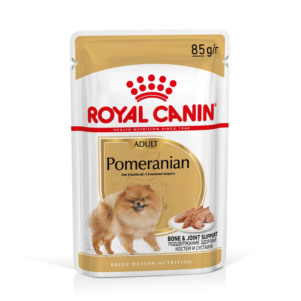 Adult Dry Dog Food L6697