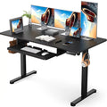 48x24 Inches Adjustable Height Electric Standing Desk with Keyboard Tray F9547