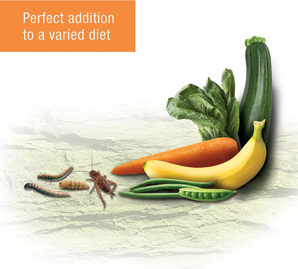 Reptile Food Omnivore Mix With Calcium 4-Ounce U648