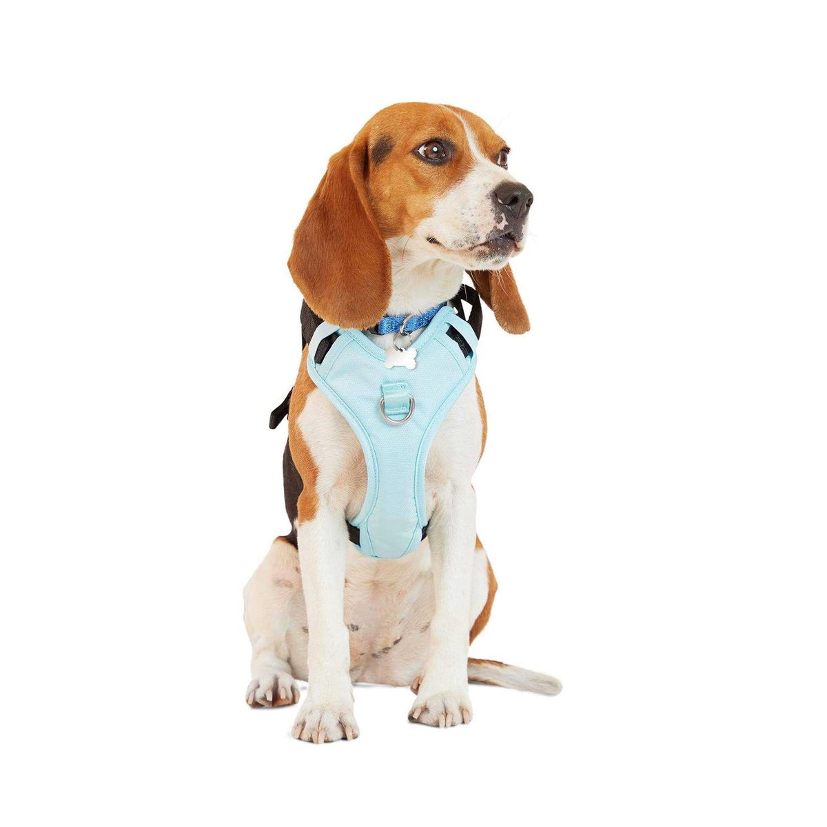 Teal Dog Harness R954