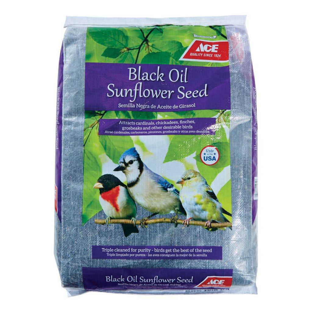 Black Oil Sunflower Seed Wild Bird Food C251