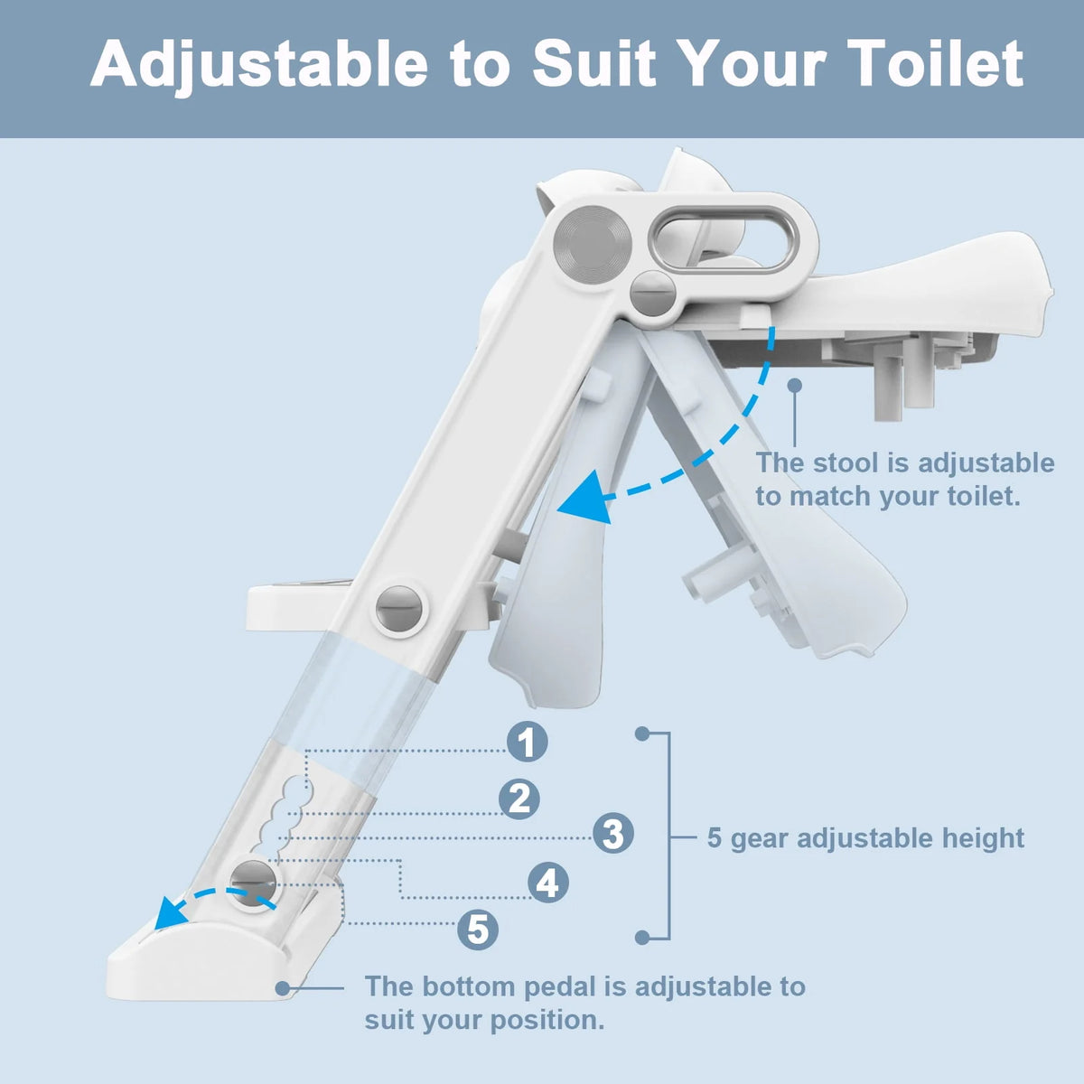 Foldable Potty Training Seat D38444