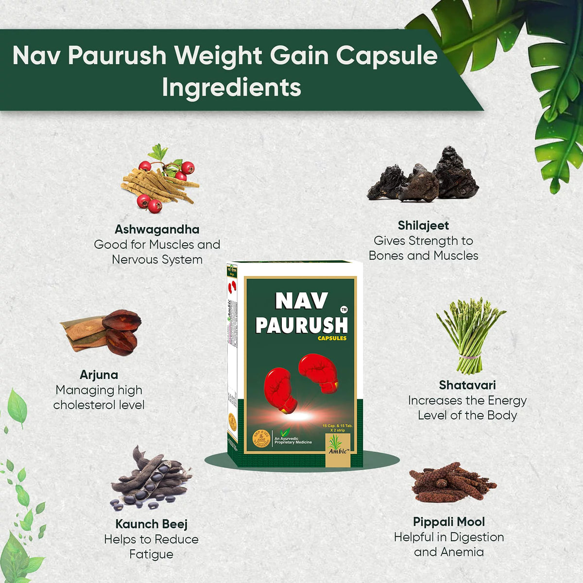 Ayurvedic Weight Gain Capsules J32070