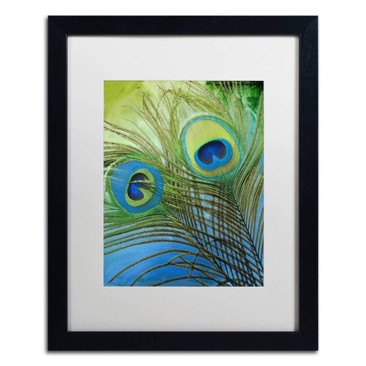 Framed Art 16x20 K50548