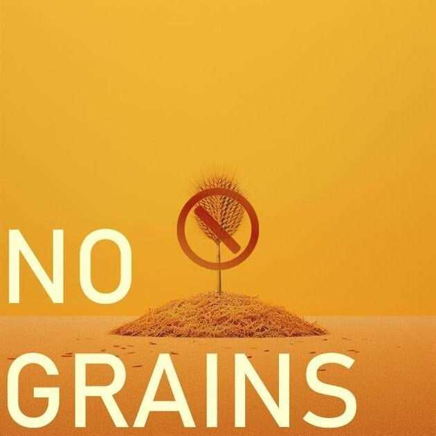 Freeze Dried Chicken Pet Supplies D68554