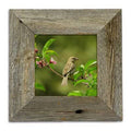 Matte Wood Frame Set Weathered Gray 12x22 x 16x22 N3168