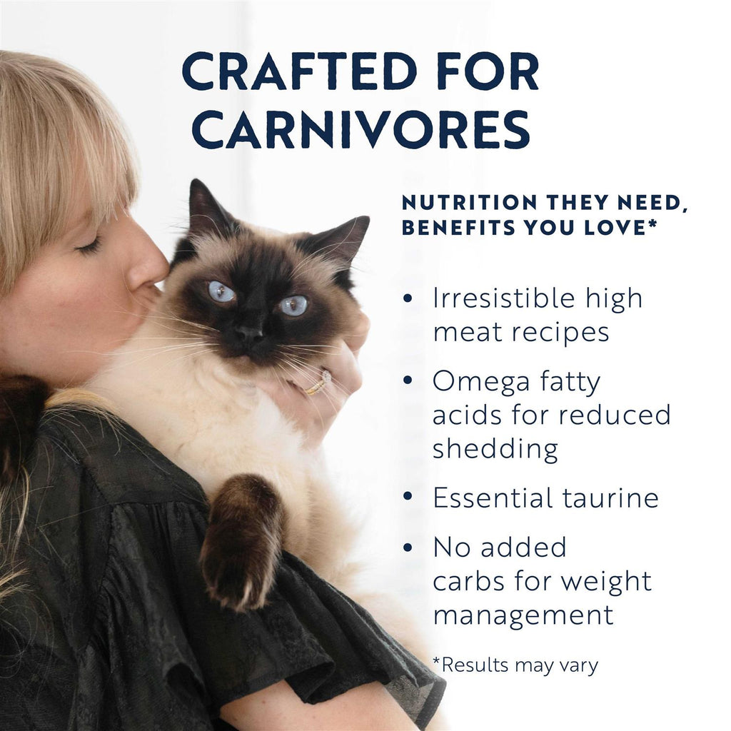 Chicken Recipe Canned Cat Food Y199
