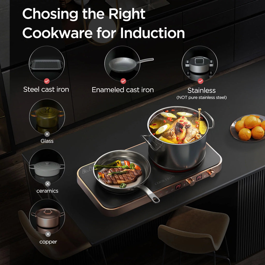 Portable Induction Cooktop Electric Stove & Cast Iron Griddle N6420