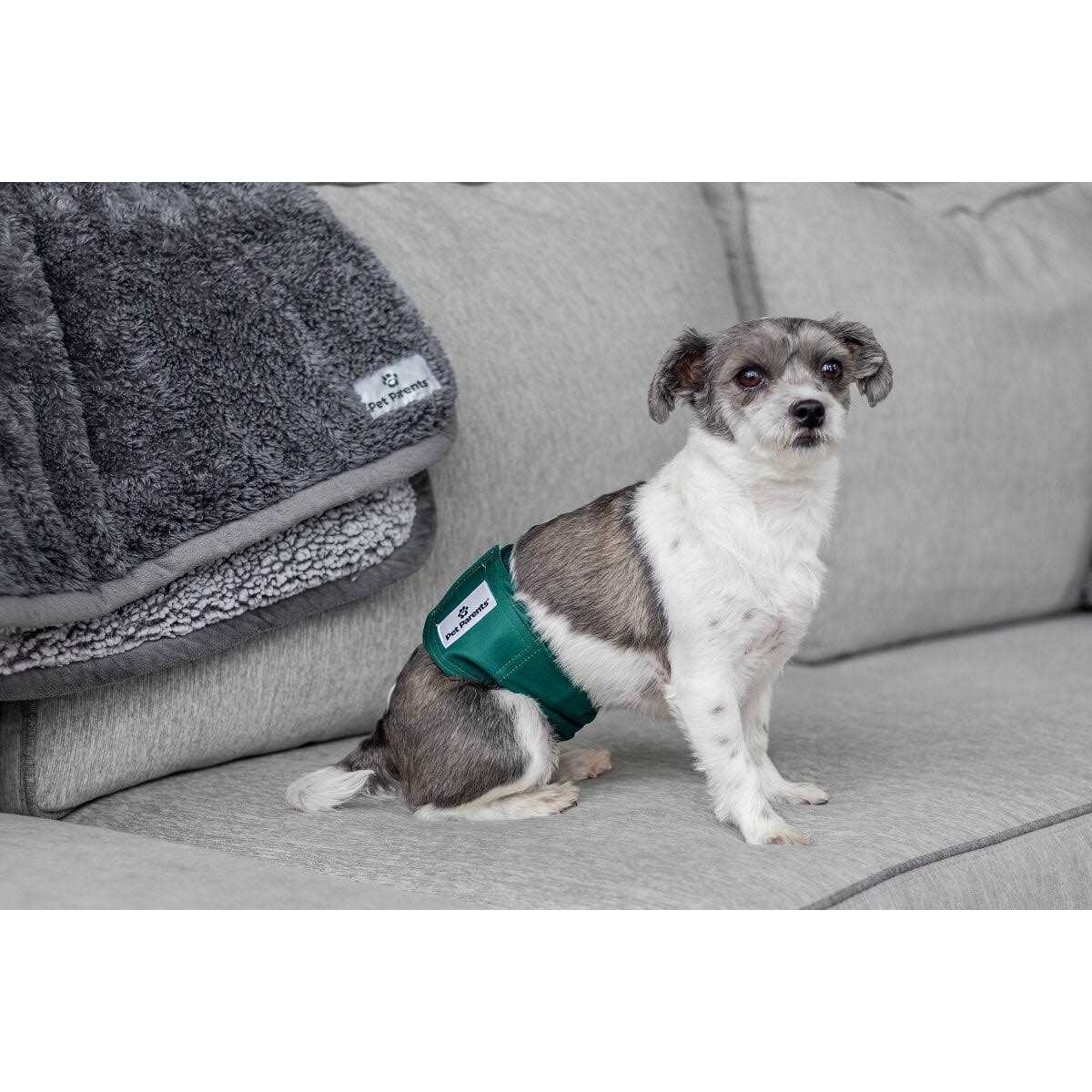 Washable Dog Belly Bands H556097