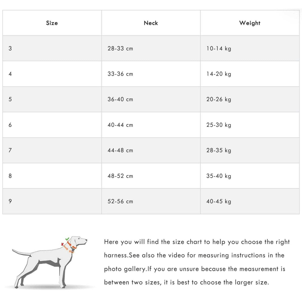 Dog Harness R2954