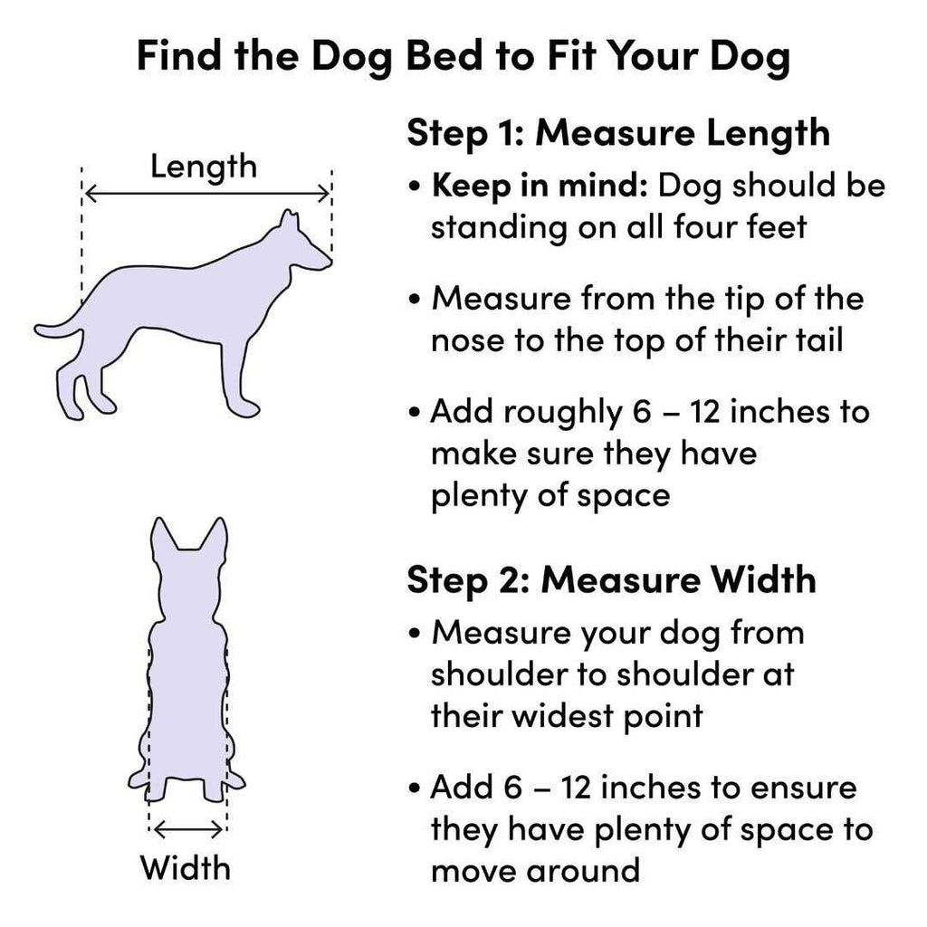 Pet Bed B428356