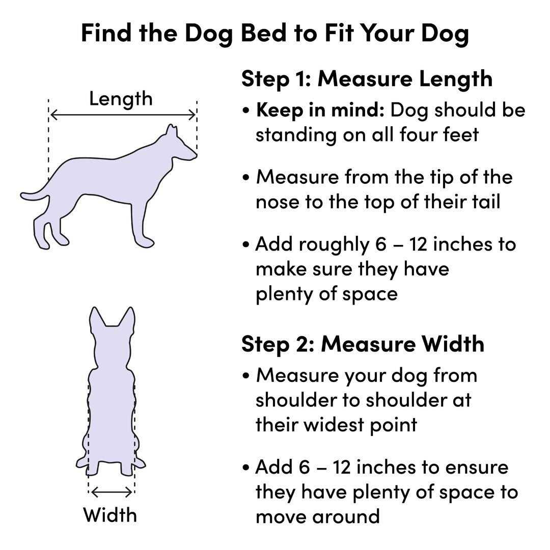 Pet Bed B428356