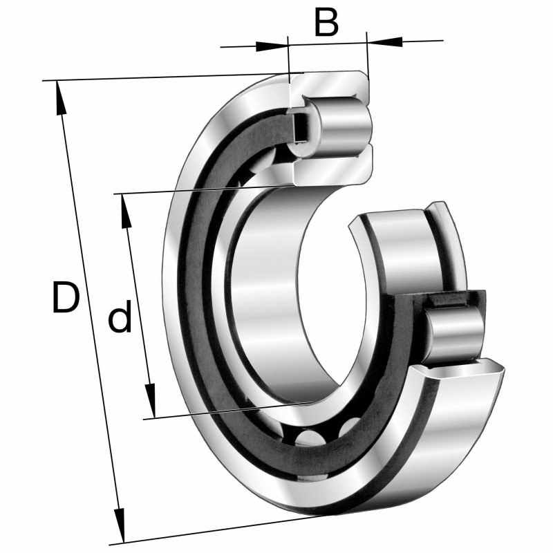 Cylindrical Roller Bearings R135362