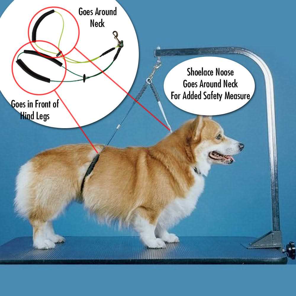Dog Grooming Arm with Clamp and Grooming Loop M632