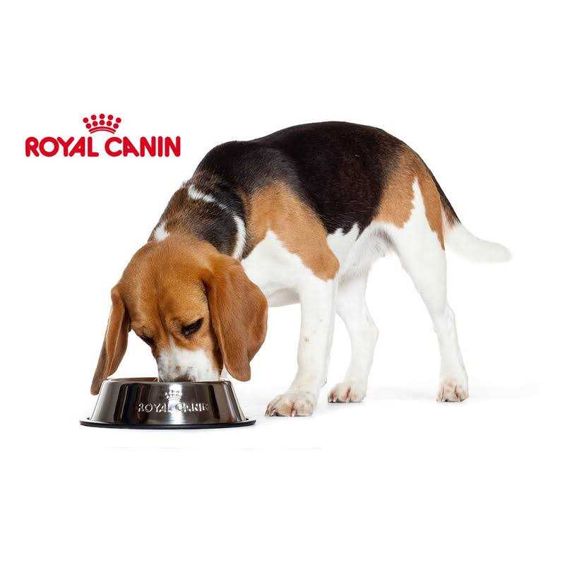Adult Loaf In Sauce Dog Food T797